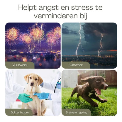Honden anti-angst en stresvest voor honden – voor Stressvolle Situaties