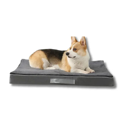 Orthopedisch Hondenbed van Elastisch Schuim - Wasbaar en Antislip voor Grote Honden en Middelgrote Honden
