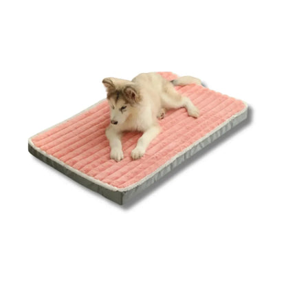 Orthopedisch Hondenbed van Traagschuim, Afneembaar en Wasbaar, Geschikt voor Honden en Katten