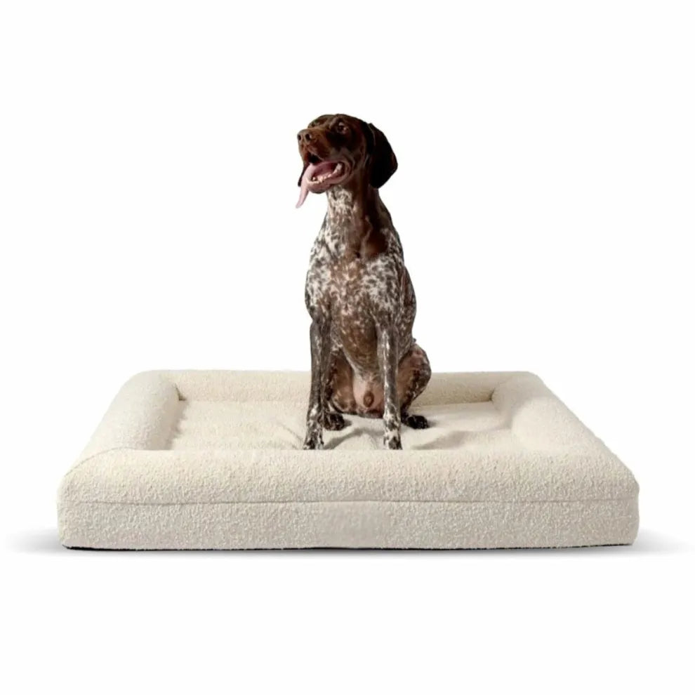 Orthopedisch Hondenkussen Voor grote en kleine honden - Luxe Memory Foam, Wasbaar, Wit