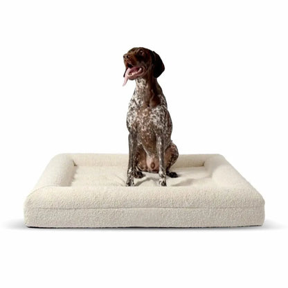 Orthopedisch Hondenkussen Voor grote en kleine honden - Luxe Memory Foam, Wasbaar, Wit