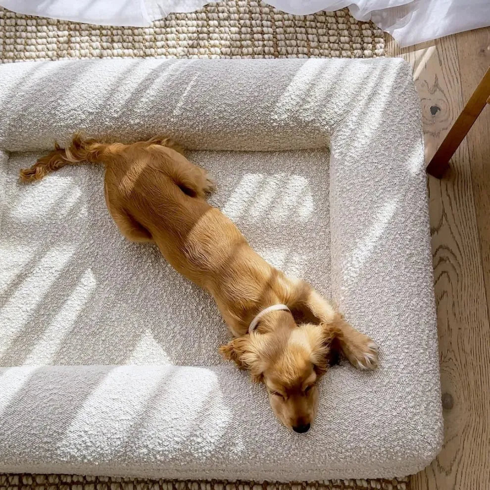 Orthopedisch Hondenkussen Voor grote en kleine honden - Luxe Memory Foam, Wasbaar, Wit