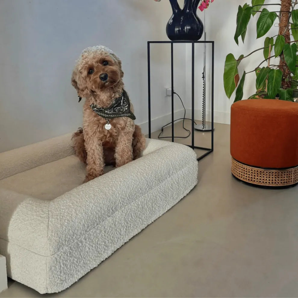 Orthopedisch Hondenkussen Voor grote en kleine honden - Luxe Memory Foam, Wasbaar, Wit
