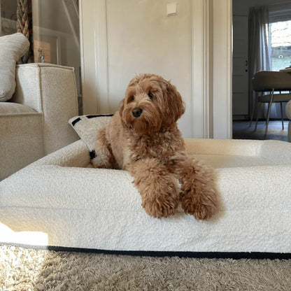 Orthopedisch Hondenkussen Voor grote en kleine honden - Luxe Memory Foam, Wasbaar, Wit