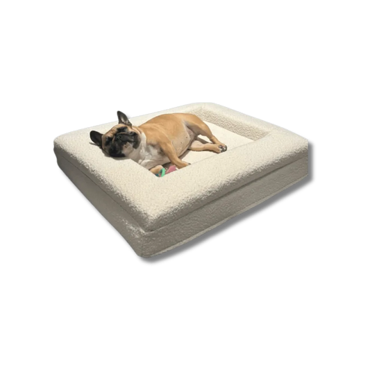 Orthopedisch Hondenkussen Voor grote en kleine honden - Luxe Memory Foam, Wasbaar, Wit